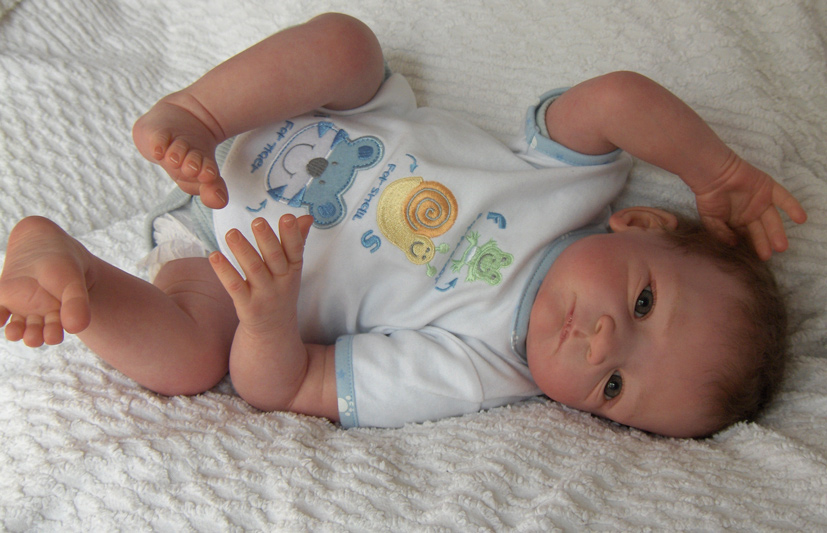 reborn doll liam